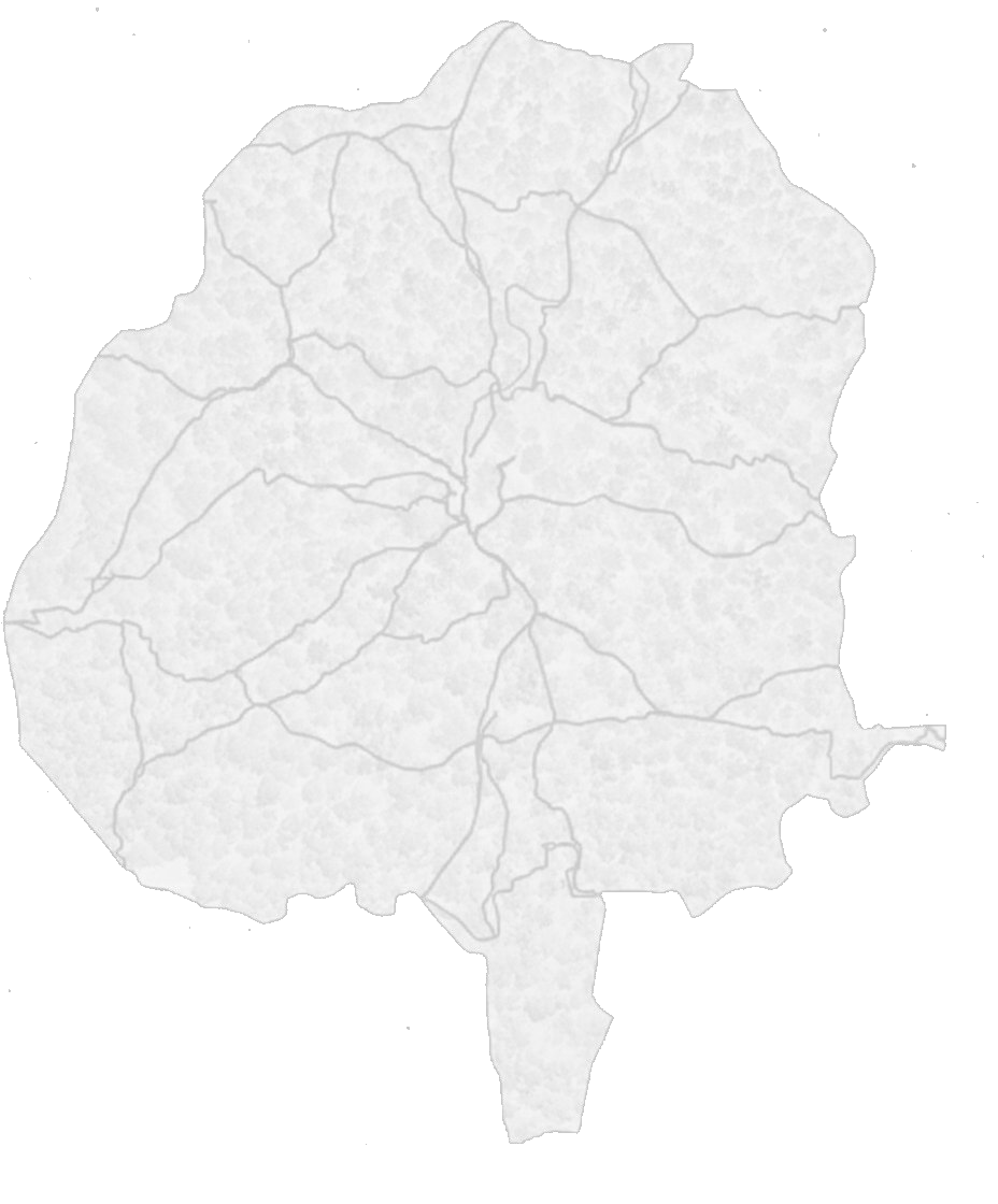 Árbol de Víllora